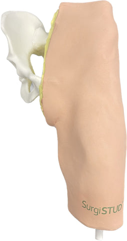 Reshaping Total Hip Arthroplasty Training: Enhanced Surgical Precision with Advanced Synthetic Models