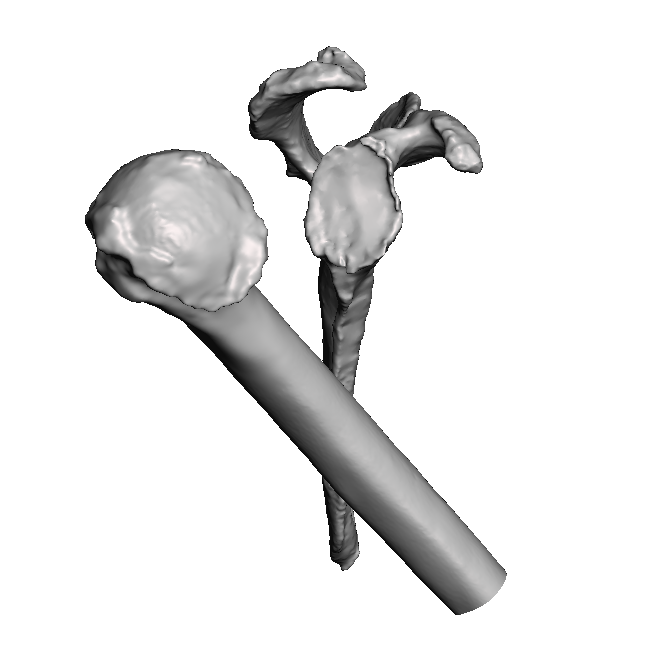 ROSA B2 Left Shoulder Base Model