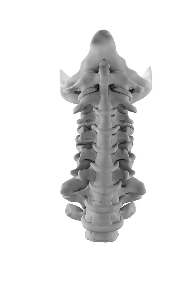 Normal Cervical Spine