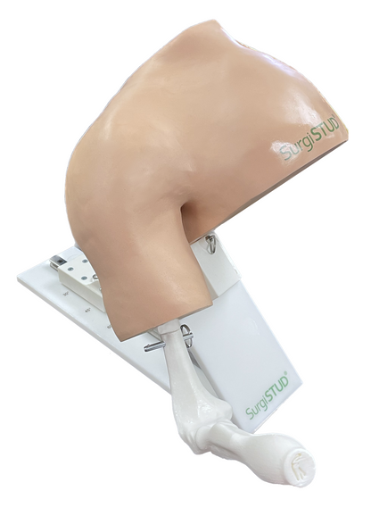 Left Shoulder Stand