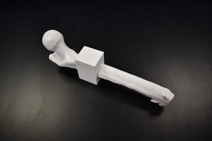 Mid Femur Amputee 3