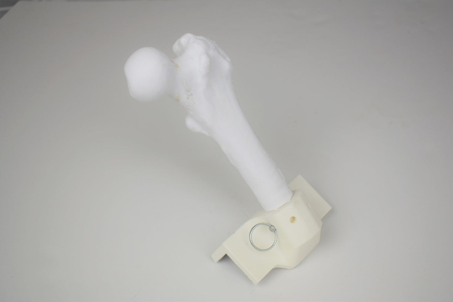 Femur Insert (proximal)