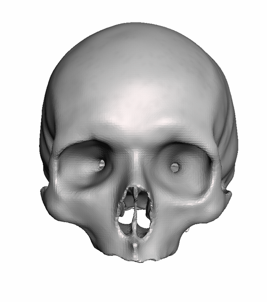 Full Hollow Skull