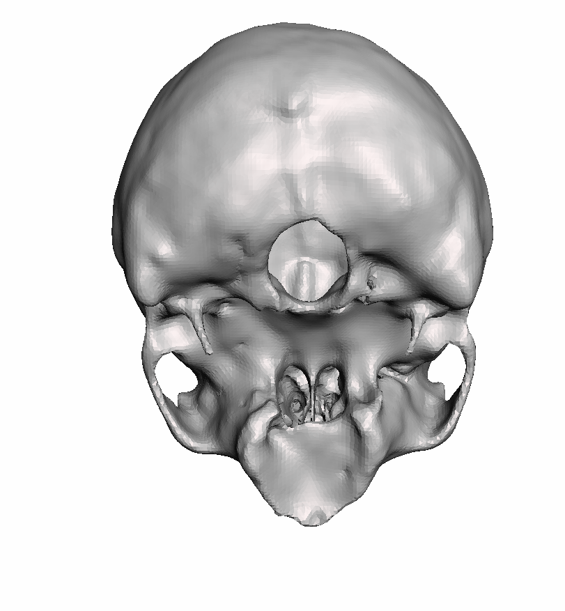 Full Hollow Skull