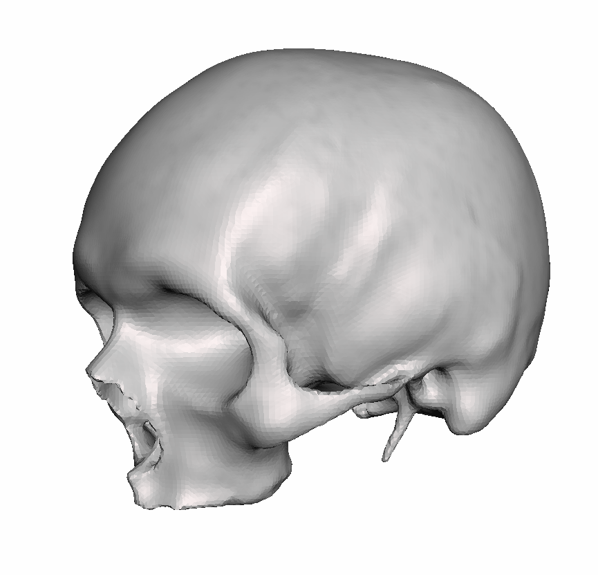 Full Hollow Skull