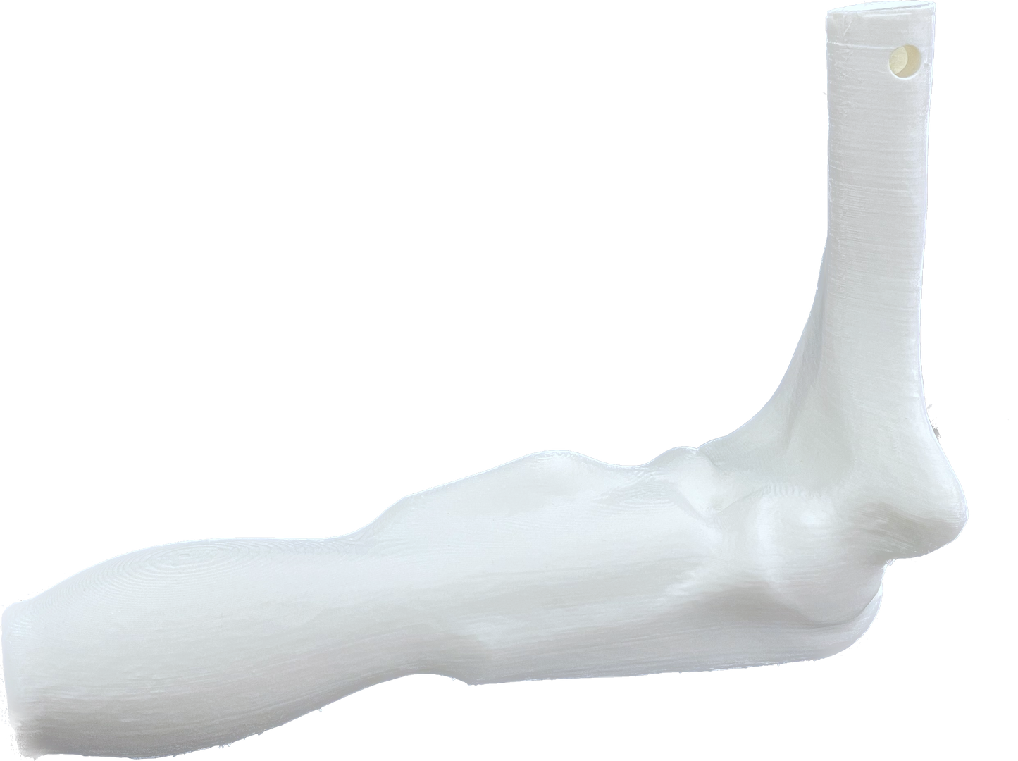 Comprehensive Shoulder Bundle