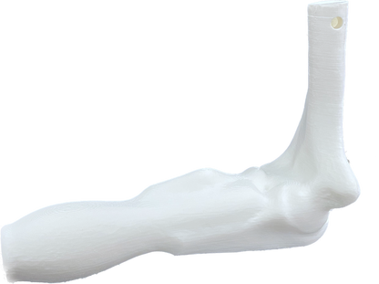 Comprehensive Shoulder Bundle