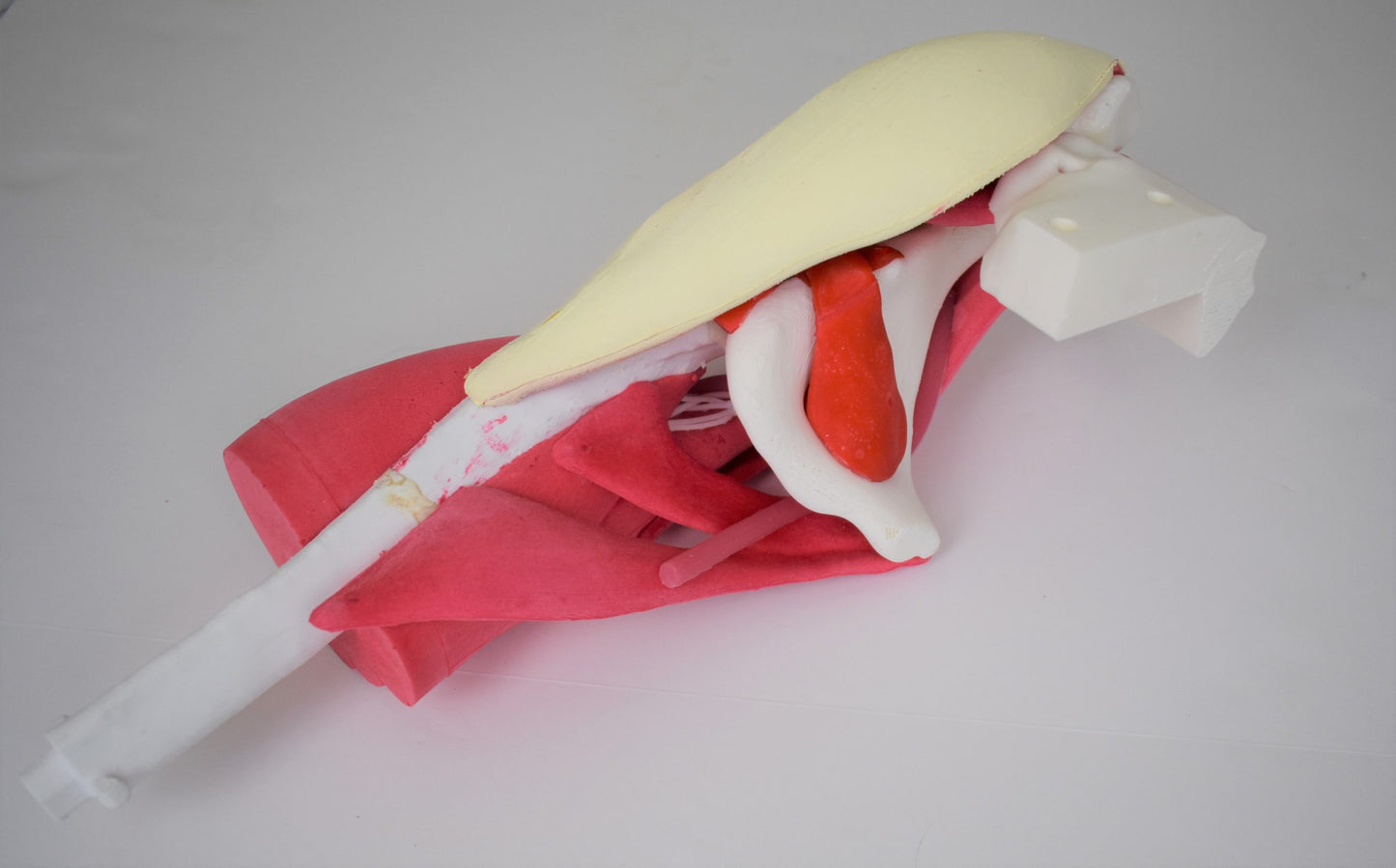 Comprehensive Hip – Uncasted