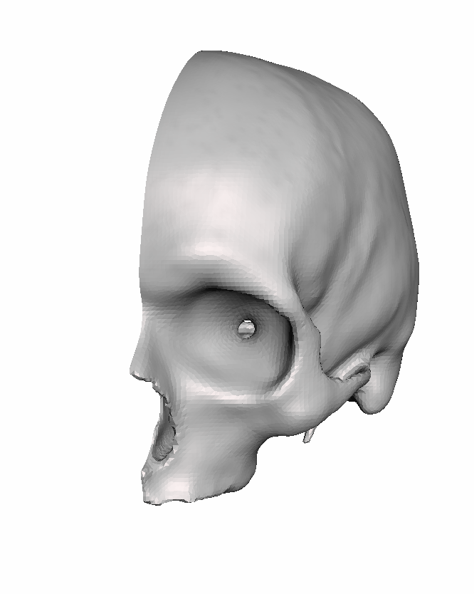 Left Hollow Skull