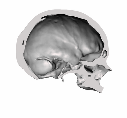 Left Hollow Skull