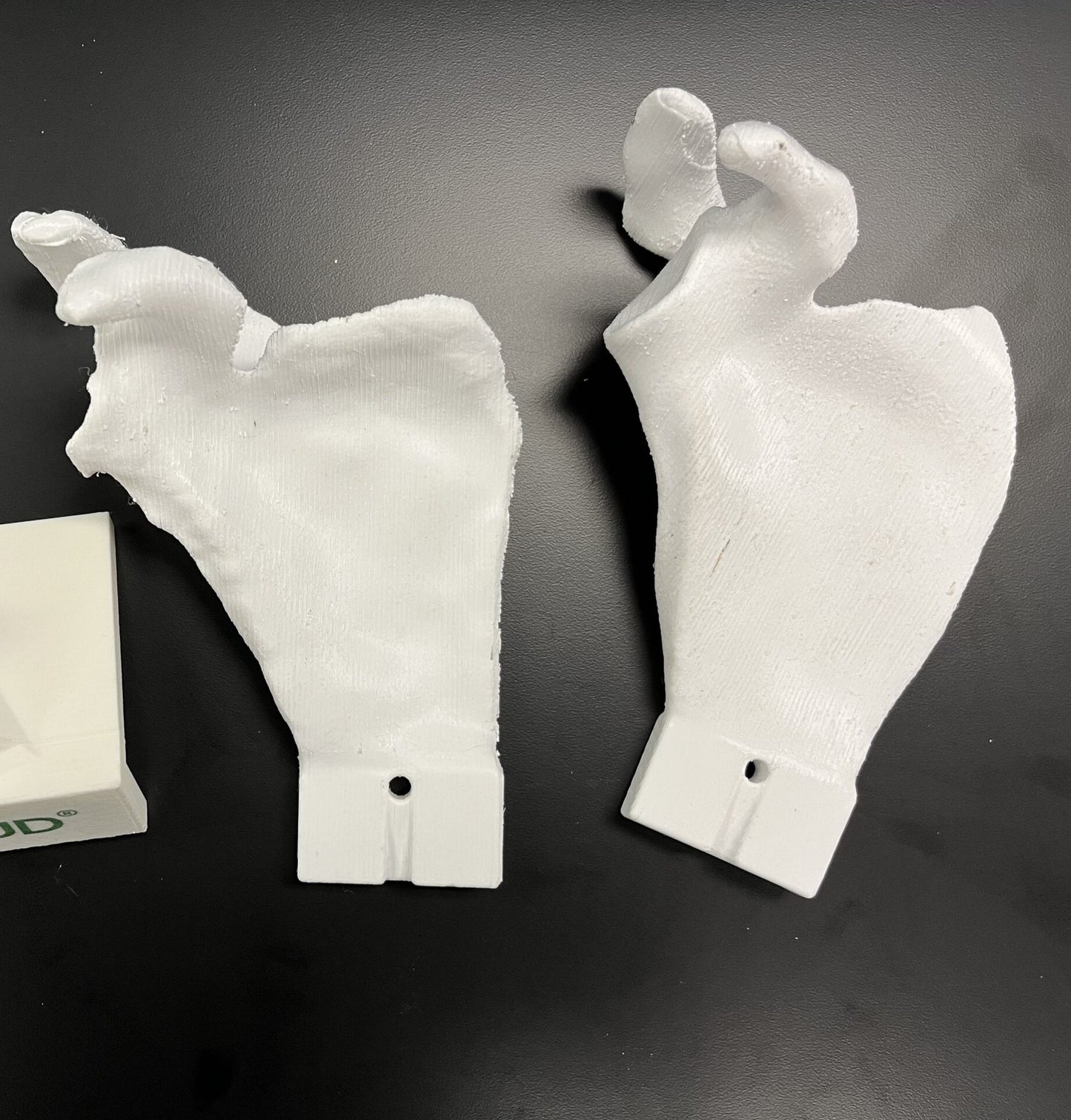 Scapula Bundle