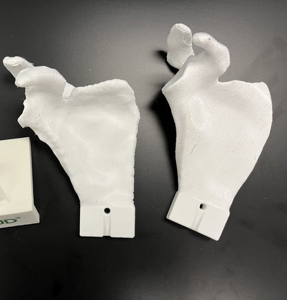Scapula Bundle