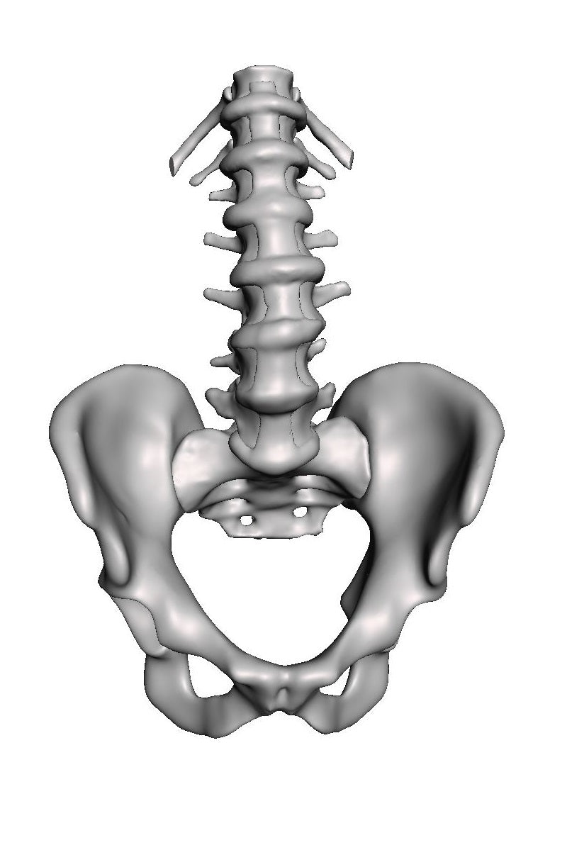 Lumbar Degenerative Spondylolisthesis