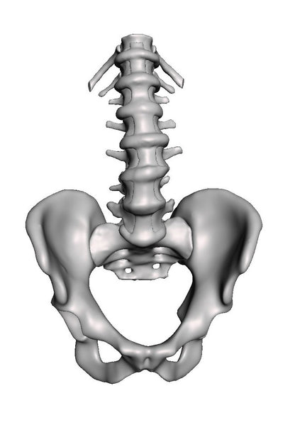 Lumbar Degenerative Spondylolisthesis
