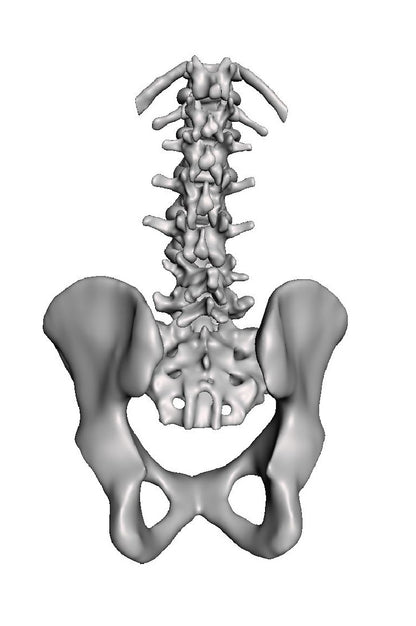 Lumbar Degenerative Spondylolisthesis