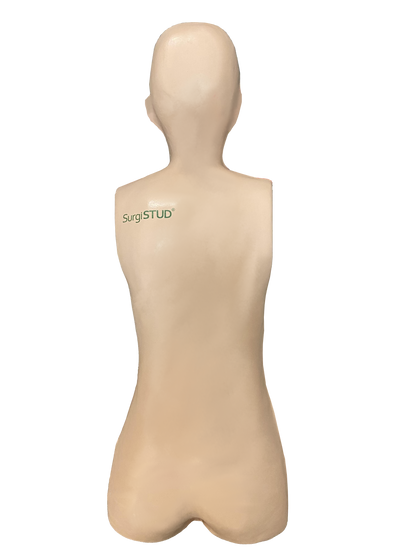 Adult Normal Anatomy Lateral Approach Bundle