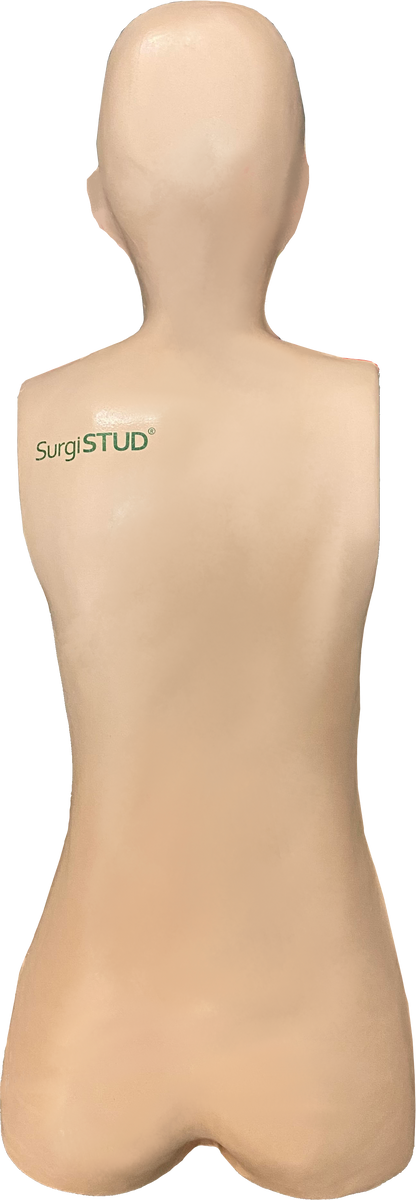 Adult Normal Anatomy Lateral Approach Bundle