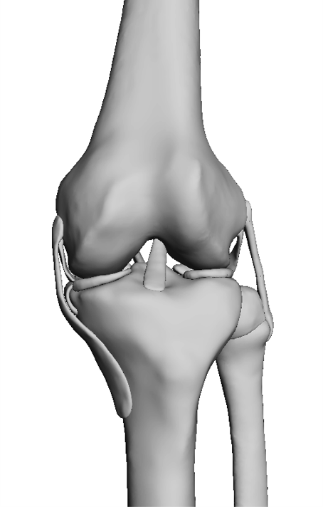 Normal Stryker Knee for Mako