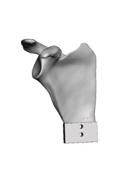 ROSA Normal Scapula Bundle