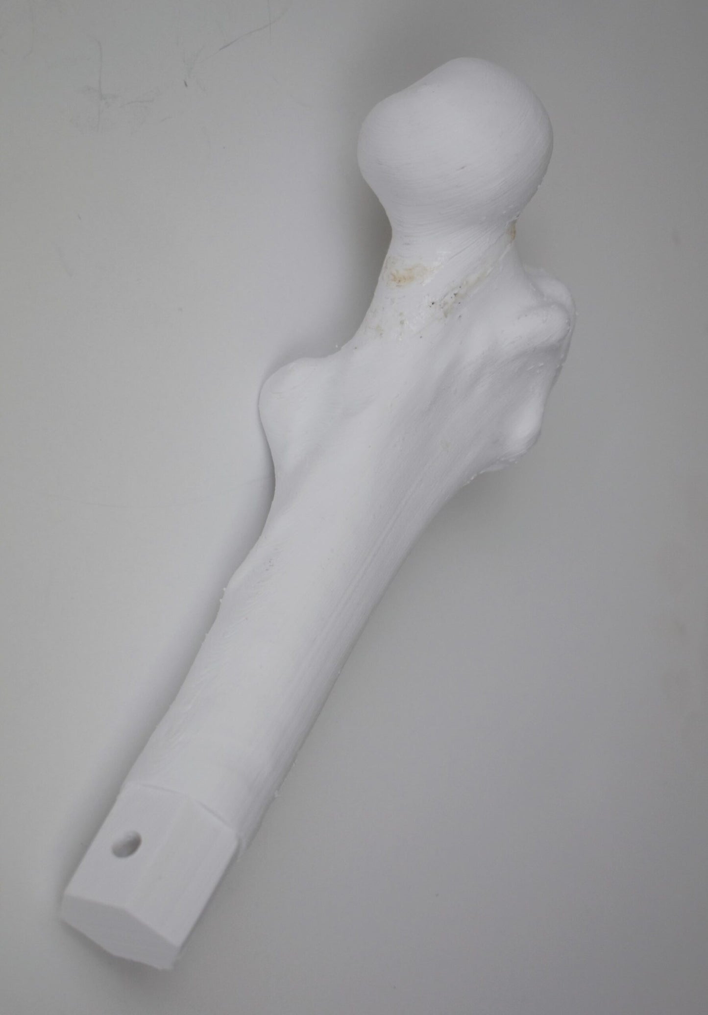 Femur Insert (proximal)