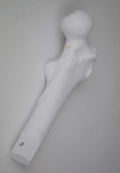 Femur Insert (proximal)