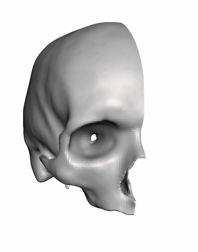 Right Hollow Skull