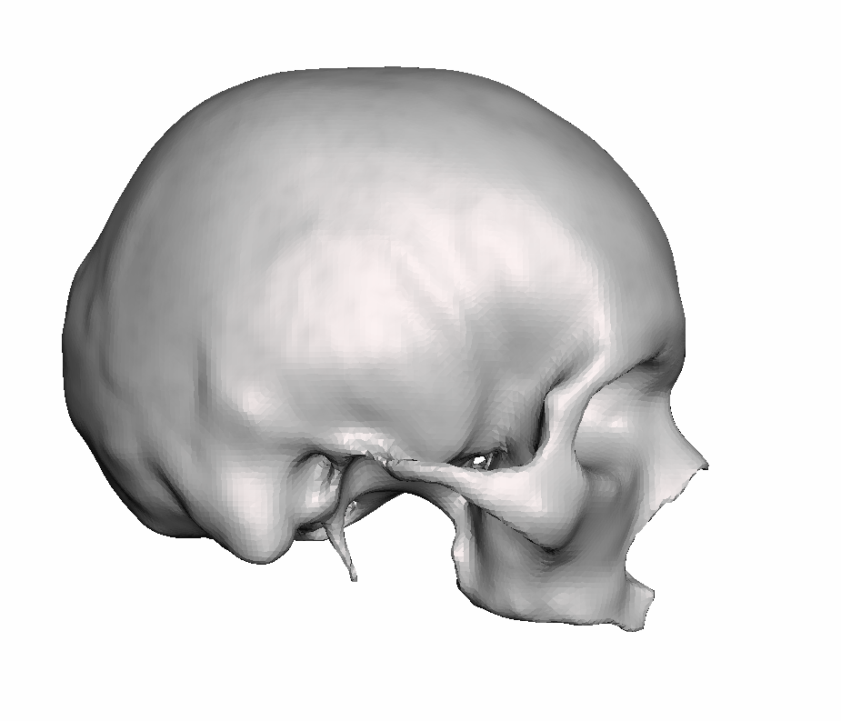 Right Hollow Skull