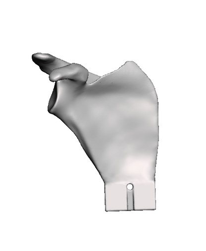 Scapula Bundle
