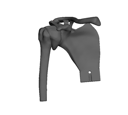ROSA B2 Uncasted Comprehensive Shoulder