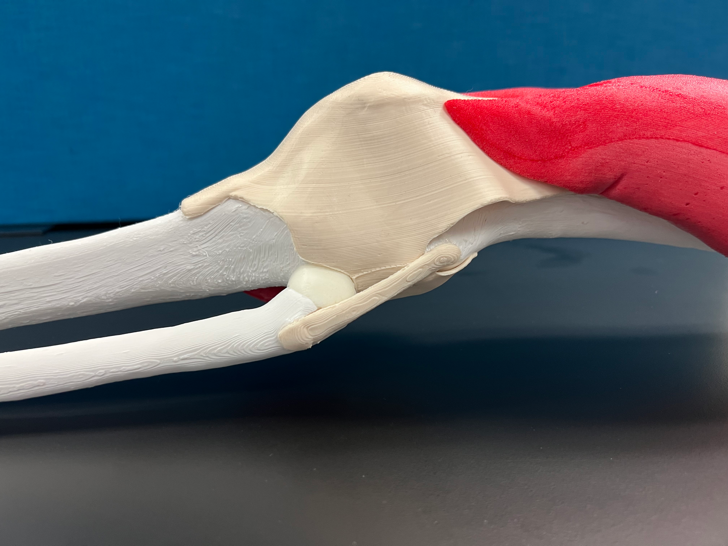 Comprehensive Knee – Uncast