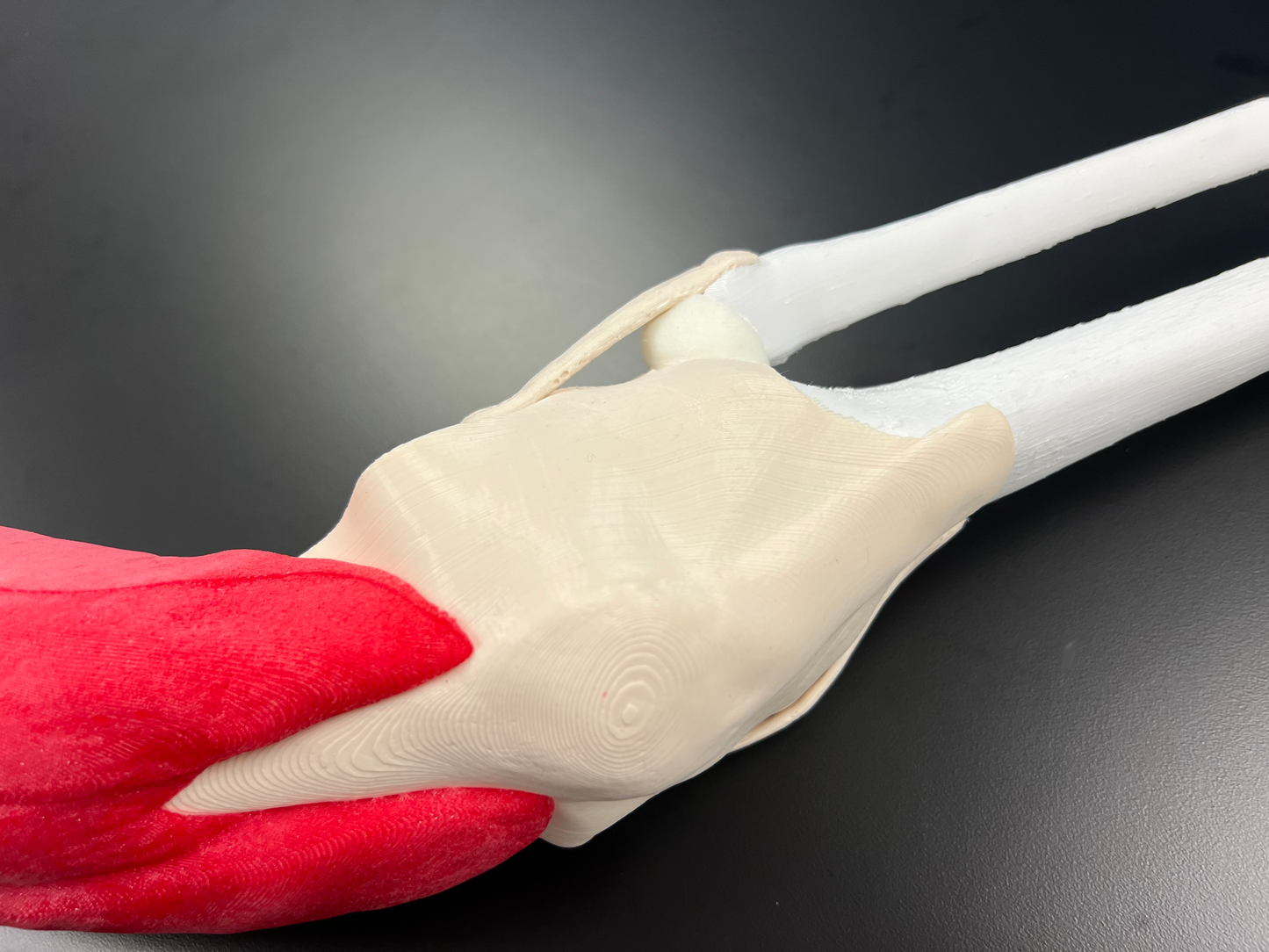 Comprehensive Knee – Uncast